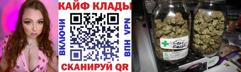 Какие есть наркотики Волгоград Cocaine  кракен онион  Меф  А ПВП  Гашиш  Марихуана 