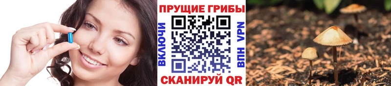 Галлюциногенные грибы Psilocybe  сколько стоит  Волгоград 